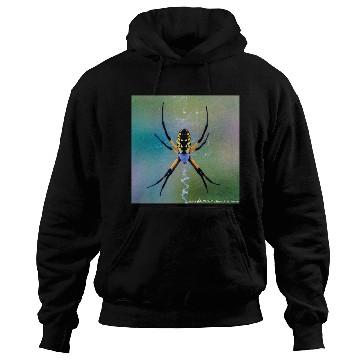 Discover Garden Spider Hoodies