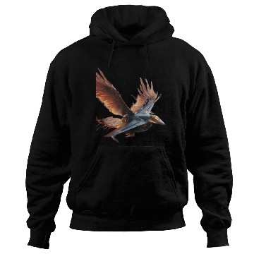Discover Sky Fighter with Phoenix Wings" Hoodies