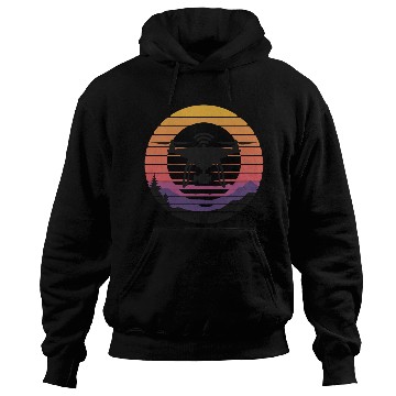 Discover Drone Quadcopter Silhouette Sunset Design Hoodies