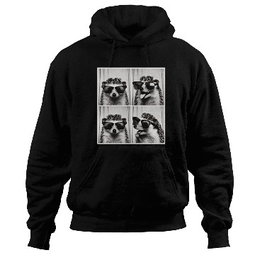 Discover Photobooth Hedgehog with Sunglasses Hoodies