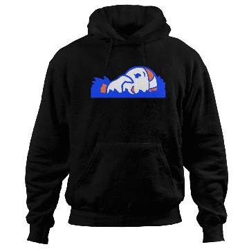 Discover Duck Crawl Swimming Pool Water Sea Vacation Fun Hoodies