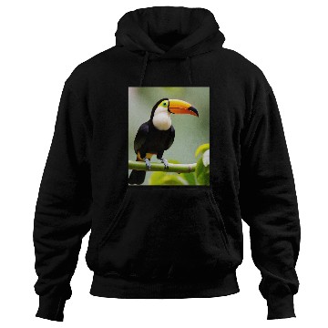 Discover Tropical Toucan Hoodies