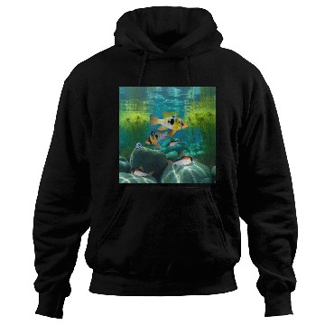 Discover German Blue Rams Pair Dwarf Cichlid Corydoras Fish Hoodies