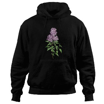 Discover Lavender Bloom Botanical Illustration Hoodies