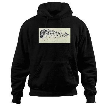Discover Vintage Evolution Man Into Frog - Werefrog! Hoodies