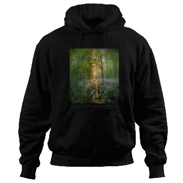 Discover Sunlit Forest with Wildflowers Hoodies