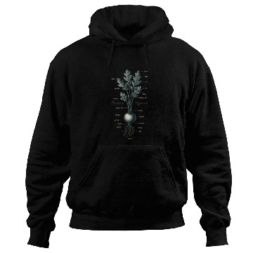 Discover Illustrated Vegetable Cross-Section Design Hoodies