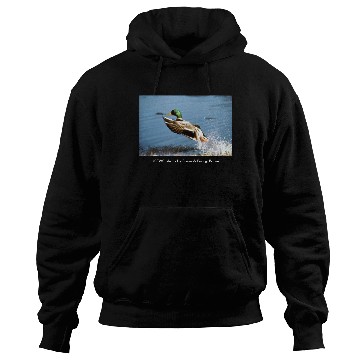 Discover Men's T / Mallard Duck Hoodies