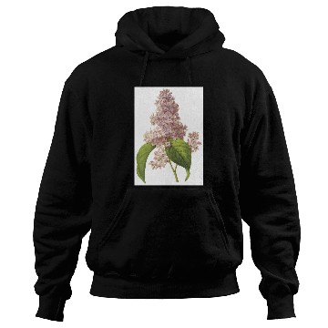 Discover lilac(Syringa sp.) by Redouté Hoodies