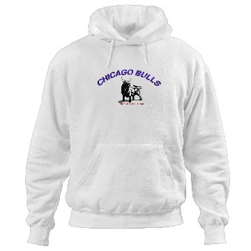 Discover CHICAGO BULLS Hoodies