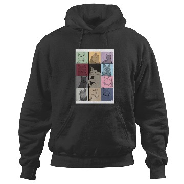 Discover Eras Tour 1622 Hoodies