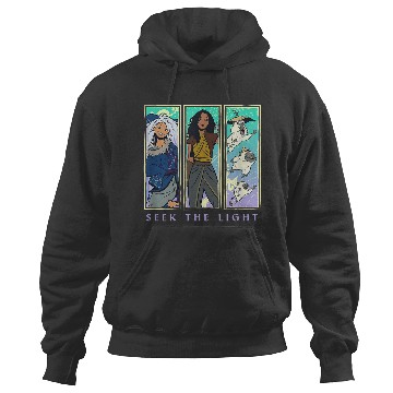 Discover Disneyss Raya And The Last Dragon Seek The Light Panels Hoodies