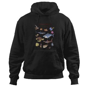 Discover Disneys Pixars finding nemo guide to sea life Hoodies