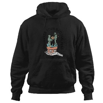 Discover Disneyss The Nightmare Before Christmas Jack Sally Cactus Hoodies
