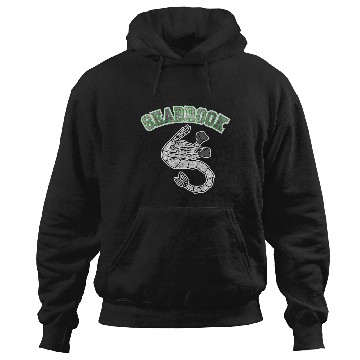 Discover Disney Zombies Seabrook Mascot Logo Hoodies