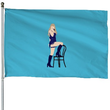 Discover Vigilante Shits Eras Tour House Flags