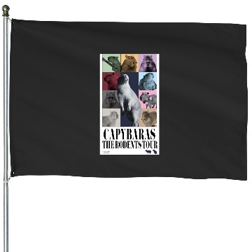 Discover Eras Tour House Flags