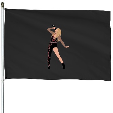 Discover reputation eras tour House Flags