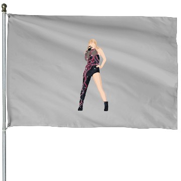 Discover reputation eras tour House Flags