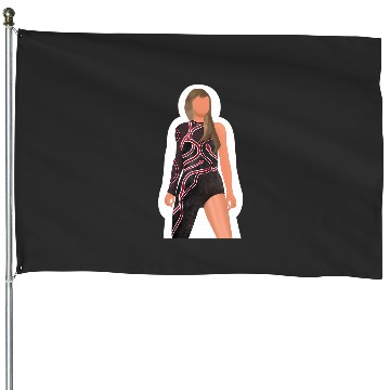 Discover Eras Tour Reputation 1828 House Flags