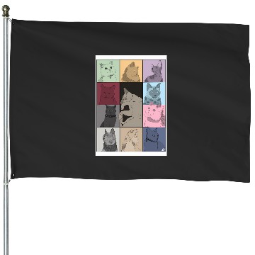 Discover Eras Tour 1622 House Flags