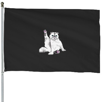 Discover Tayl0r swift Meredith House Flags