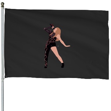 Discover Eras Tour Reputation House Flags