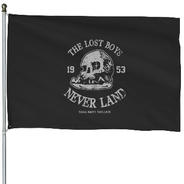 Discover Disney Peter Pan The Lost Boys Think Happy Thoughts House Flags