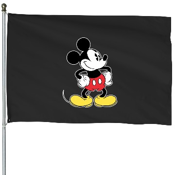Discover Disney Mickey Mouse House Flags
