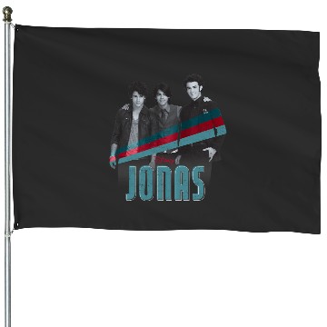 Discover Disney Channel JONAS Nick Joe and Kevin House Flags