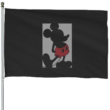 Discover Disney Mickey Mouse Box Silhouette House Flags