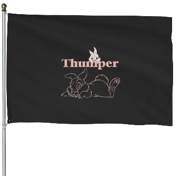 Discover Disney Bambi Thumper Peach Outline House Flags