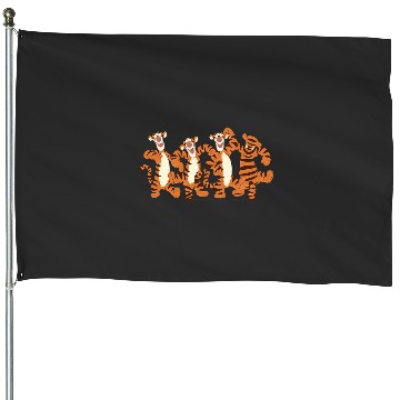 Discover Disney Winnie The Pooh Tigger Bouncing Lineup House Flags