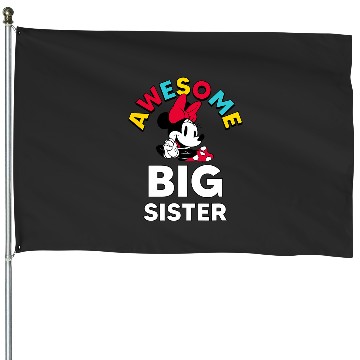 Discover Disney - Awesome Big Sister House Flags
