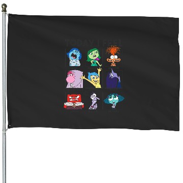 Discover Disney Pixar Inside Out 2 Today I Feel... Emotions Panels House Flags