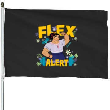 Discover Disney Encanto Luisa Flex Alert House Flags