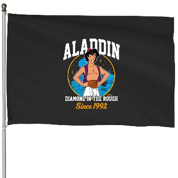 Discover Disney Princess - Aladdin Collegiate House Flags