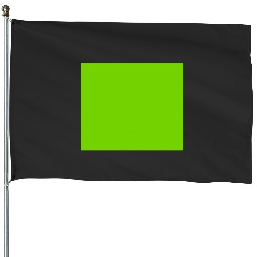 Discover Lime Green  1: Shrek Same Swamp Forever , Shrek Shirt, Disney Fiona Princess , Shrek,Shrek House Flags