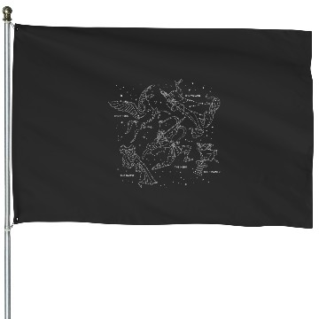 Discover Disney Hercules Constellation Poster House Flags