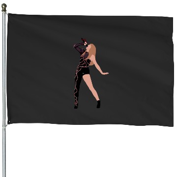 Discover Eras Tour Reputation House Flags