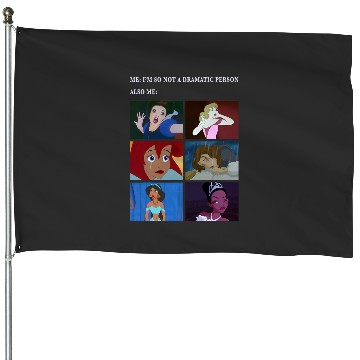 Discover Disney Princess Not Dramatic Meme Panel House Flags