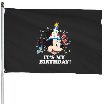 Discover Disney Mickey Mouse Its My Birthday House Flags