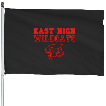 Discover Disney Channel High School Musical East High House Flags