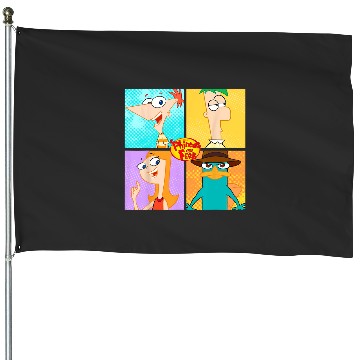 Discover Disney Phineas And Ferb Character Box Up House Flags