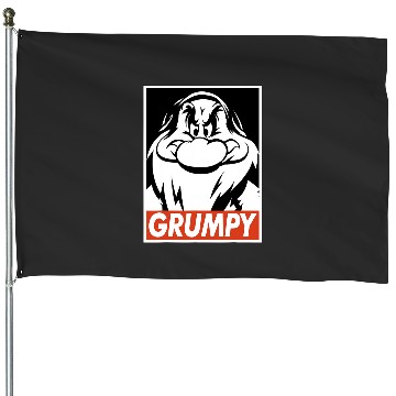 Discover Disney Snow White Grumpy Streetwear Poster House Flags