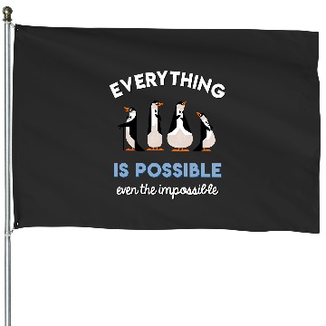 Discover Disneys mary poppins possible House Flags