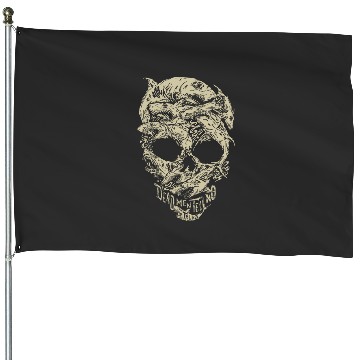Discover Disney Pirates Shark Skull House Flags