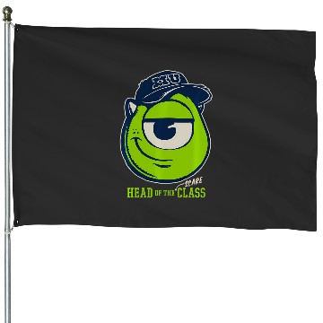 Discover Disney Pixar Monsters University Mike Head Of House Flags
