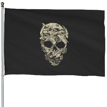 Discover Disney Pirates Shark Skull House Flags