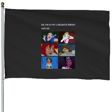 Discover Disney Princess Not Dramatic Meme Panel House Flags